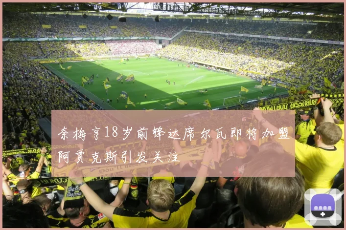 奈梅亨18岁前锋达席尔瓦即将加盟阿贾克斯引发关注