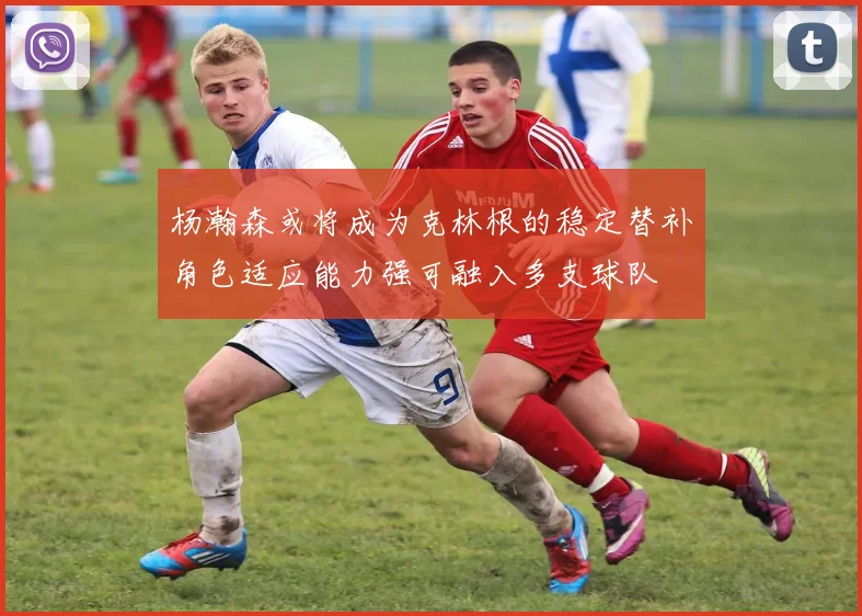 杨瀚森或将成为克林根的稳定替补角色适应能力强可融入多支球队