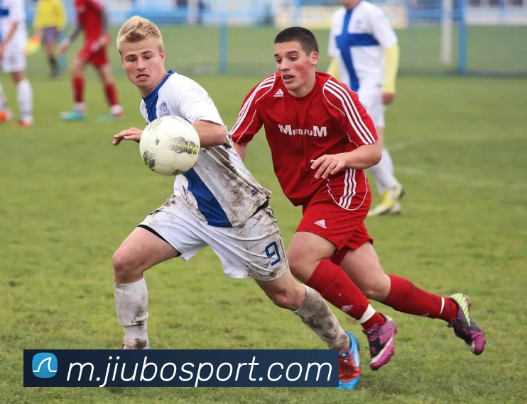 九博体育服务体系